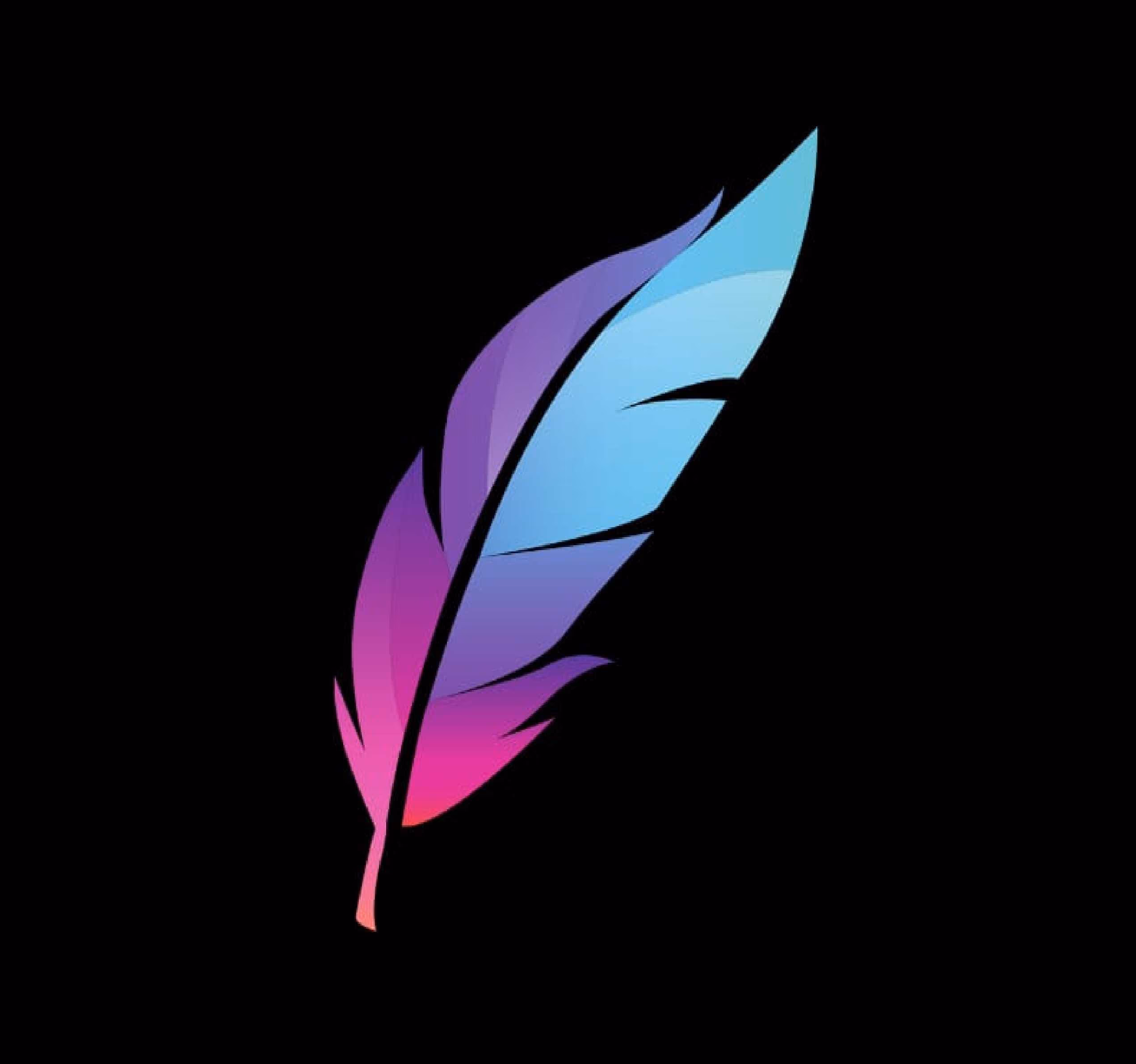 Blaze — Organisation site